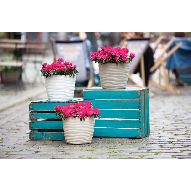 Flower Plant Pots wholesale UK online shop sale
